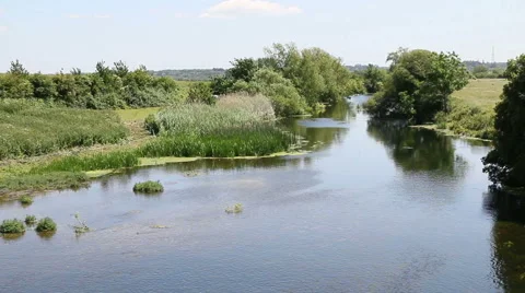 View of small river in the country 3 Stock Footage 51691553
