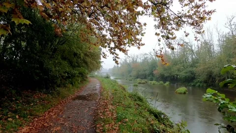 The view of the small river Stock Footage 233756410