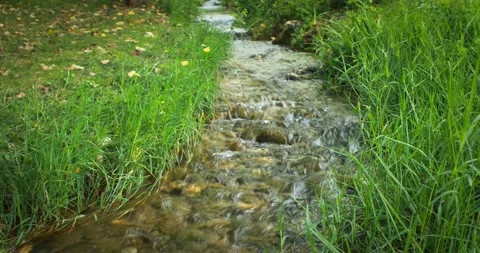 The view of the small river Video stock 234368959