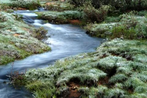 View of a small river of grass and trees Stock-Fotos