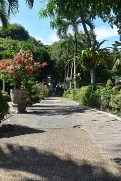 View of a small road surrounded by a green garden and plants Stock Photos
