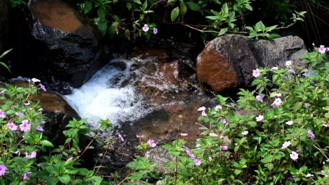 View of a small rocky river flowing in the mountains surrounded by green grass Video stock 319740163
