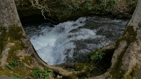View of a Small Stream Waterfall Between Two Trees Stock Footage 74606401