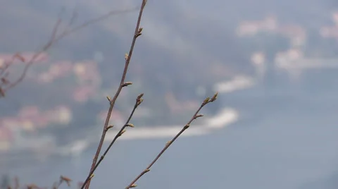 View of small town on Como lake Stock Footage 32317462