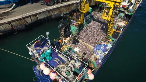 View of small vessel full of fish moored in the port. The pier, the trucks and Video stock 85676526