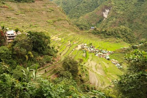 View of the small village, town of Batad, at the foot of a steep hill cover.. Stock Photos