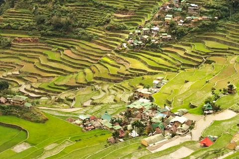 View of the small village, town of Batad from the rice terraces, fields, padd Foto stock