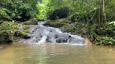 View of a small waterfall at the bottom of which a place for swimming is formed. Stock Footage 229522154