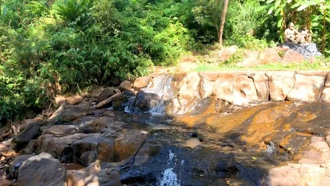 View of small waterfall flowing on the rock wall around with green leaves Stock Footage 126815793