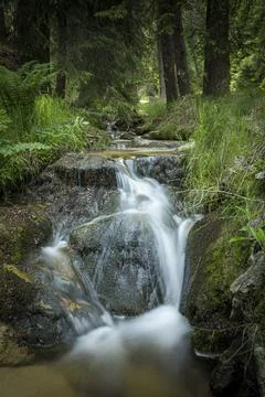 View of a small waterfall hidden in a forest in Bulgaria. Foto stock