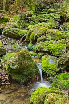View of a small waterfall of the mountain creek Tro Maret in the Ardennes, Be Stock Photos
