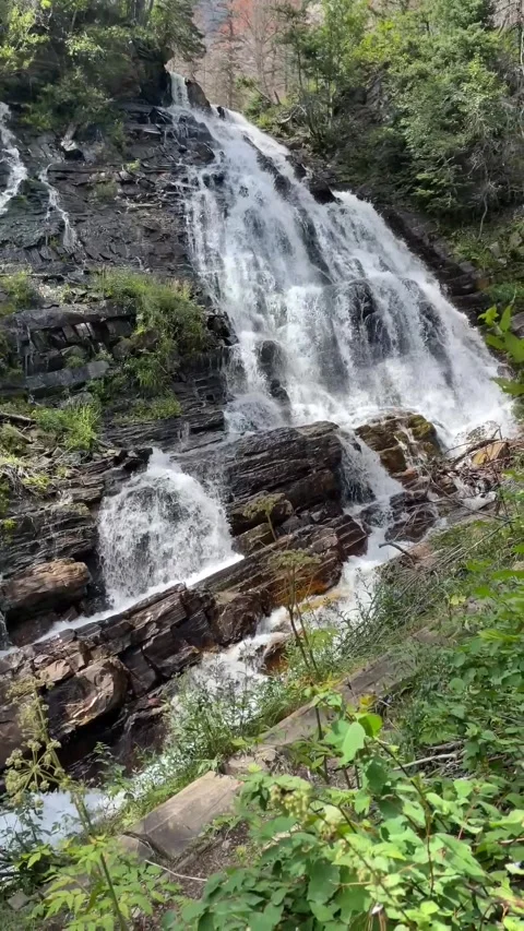 View of a small waterfall surrounded by greenery Vídeo Stock 281295148