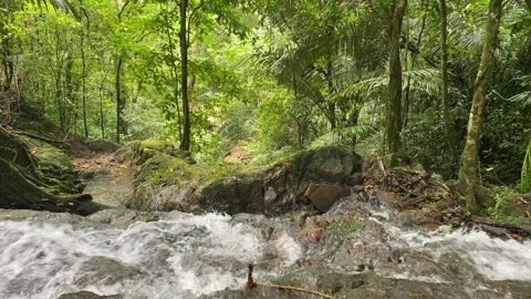 View of a small waterfall from top to bottom. Stock Footage 229522062