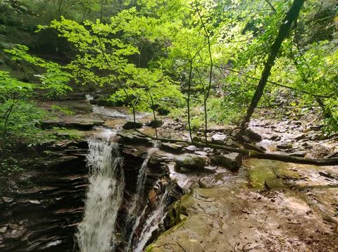 View of a small waterfall in the woods Stock Photos