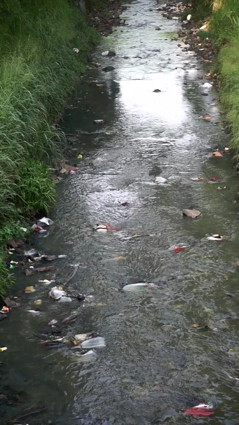 View of a small waterway or ditch polluted by various types of plastic trash Video stock 336662962