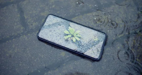 View of smartphone on the ground under the rain, green plant on the screen Stock Footage 135243632