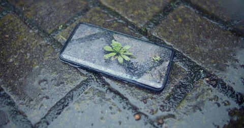 View of smartphone on the ground under the rain, green plant on the screen Stock Footage 135245383