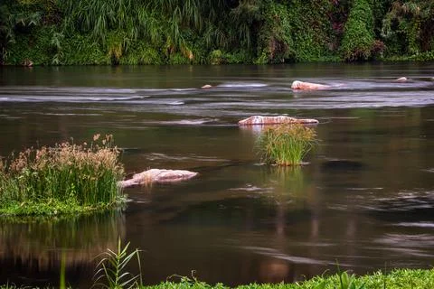 View of smooth and silky flow of water in Bharathappuzha River Stock Photos