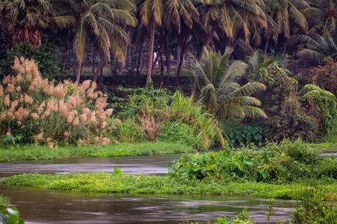 View of smooth and silky flow of water in Bharathappuzha River Stock Photos