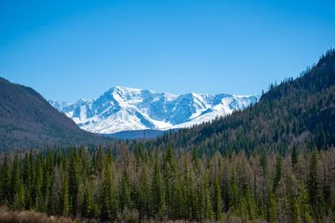 View of the snow-capped mountain range. Stock Photos