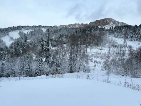 View of snow capped spruce forest and mountains. Snowy white winter scenery.  Stock Footage 230106519