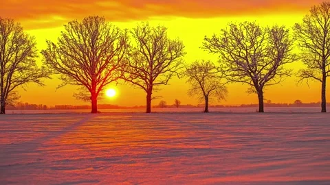 View of a snow-covered field with bare trees at sunset, Latvia. Видео 340638074