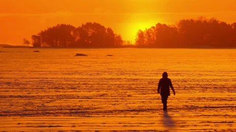 View of the snow-covered field during the orange sunrise Vídeo Stock 152973911