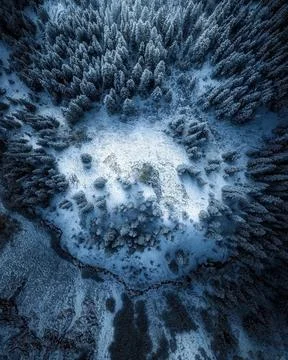 View of snow covered pine tree Stock Photos