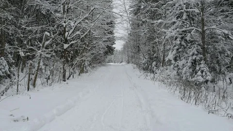 View of the snow-covered road in the winter forest, 4k footage Stock Footage 70453729