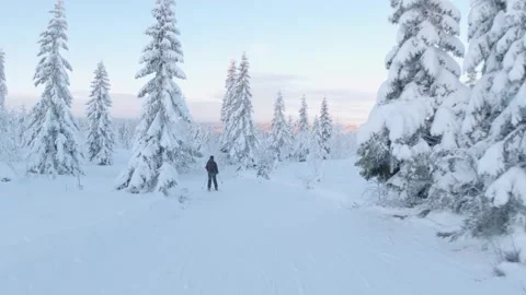View of snow-covered trees and a skier in a slope at sunset Stock Footage 146666672