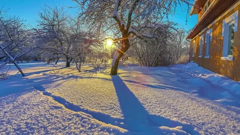 View of snow-covered trees and building in Riga, Latvia. Stock Footage 341454356