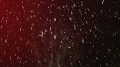 View of Snow falling at night Stock Footage 173321186
