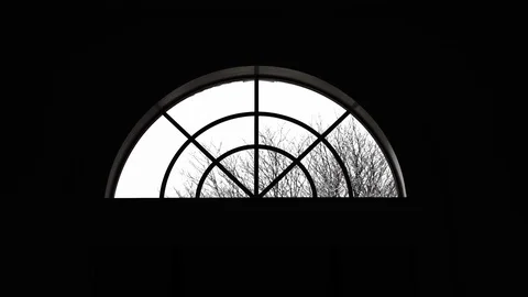 View of snow falling on tree branches through a semicircle window Stock-Footage 89448132