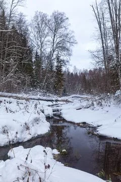 View of the snow forest stream. Stock Photos