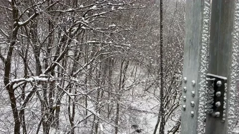 View of snow forest with viaduct strut in foreground Video stock 171889901