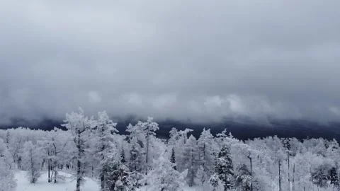 View of the snow park Stock Footage 305186684