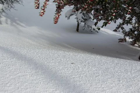 View of snow Stock Photos