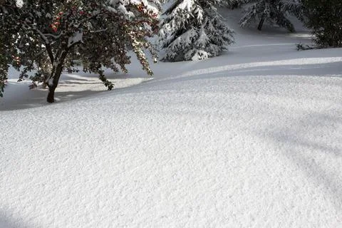 View of snow Stock Photos
