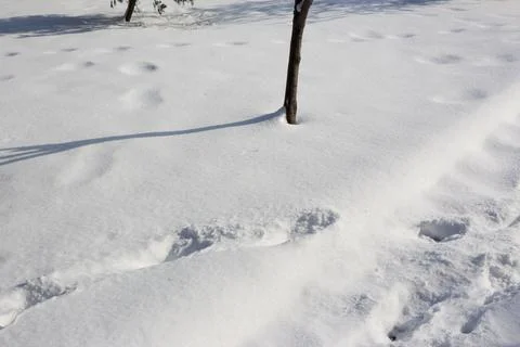 View of snow Stock Photos