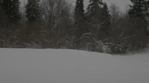View of snow trees from window moving train Stock Footage 67451472