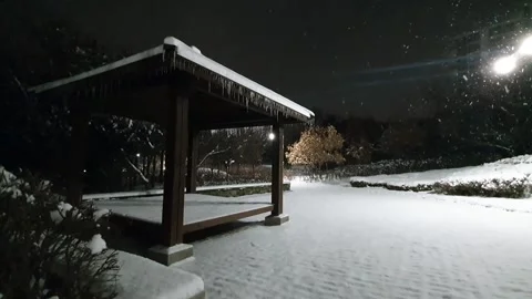 The view of snowfall Stock Footage 233353474