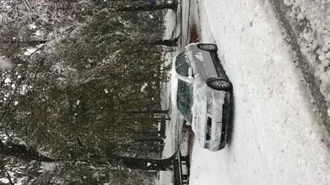 View of snowfall over the Audi car, snow covered pine trees in winter Video stock 154192596