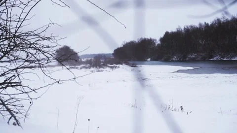 View of a snowstorm through the branches of a tree Stock Footage 120301108