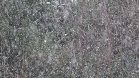 A view from snowy day Stock Footage 154512295
