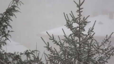 A view from snowy day Stock Footage 155225570