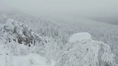 View of snowy forest covered with snow. Frozen ones cover slope of rocky hill. Stock Footage 145889533