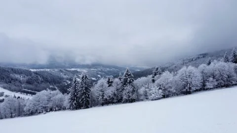 View of the snowy forest. Shot shot with a drone. Stock Footage 146554748