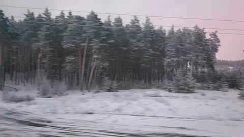 View on the snowy forest from train window Stock Footage 105413981