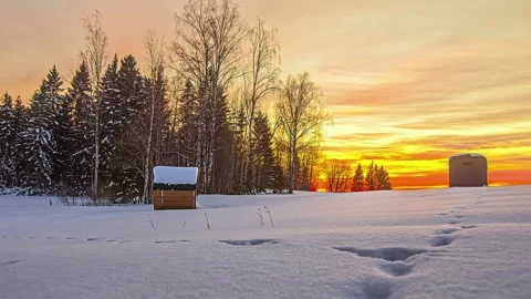 View of snowy landscape with trees at sunset in Riga, Latvia. Stock-Footage 341454397