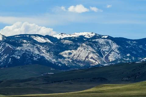 View of a snowy mountain range covered with trees Stock-Fotos